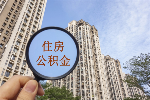 阿里公积金新政今起实施（阿里公积金新政出台）